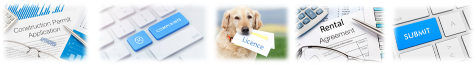 Picture of an application permit, a dog holding a licence form, a rental agreement form, and a submit button indicating some forms available online
