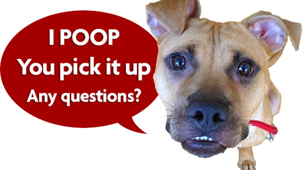 Dog speaking the words I poop you pick it up - any questions?