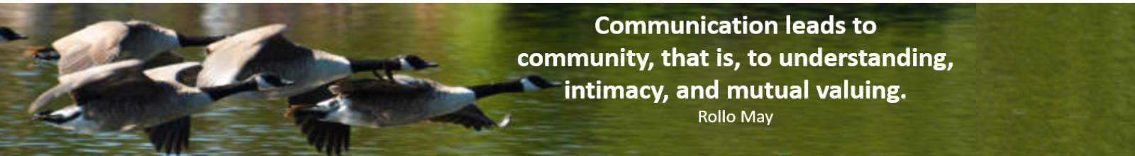 Geese Flying with Quote on Communication