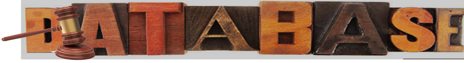 The words database in wooden block letters with a law gavel in the forefront