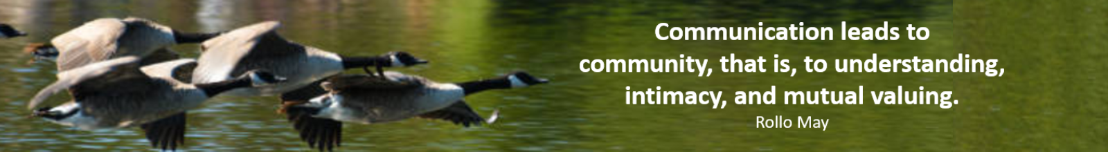 Canada Geese Flying with quote by Rolly May saying Communication leads to community, that is, to understanding, intimacy, and mutual valuing