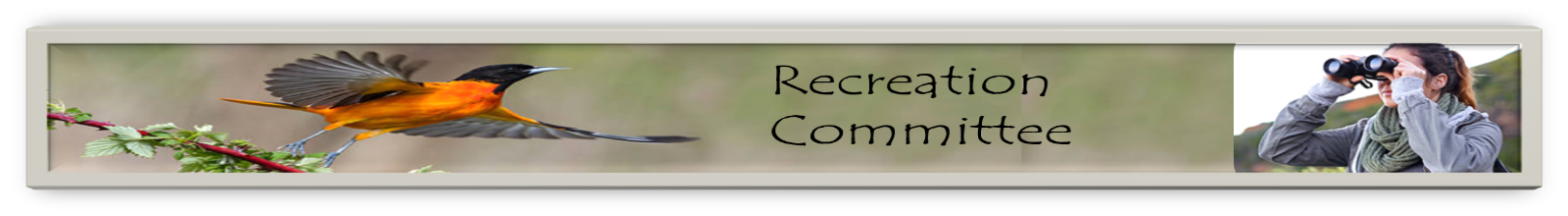 Recreation Banner