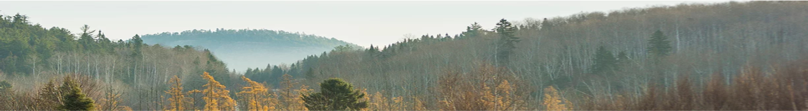 Landscape of bush and hills